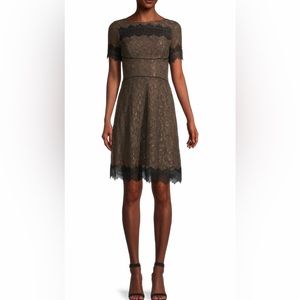 SHANI  Scalloped Lace Fit & Flare Dress Color: Brown Size : 12